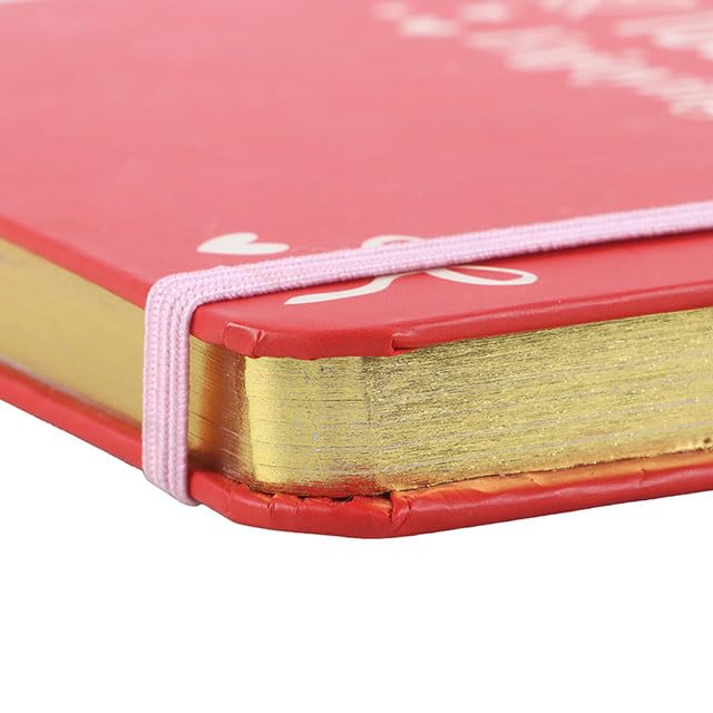 Single Taken Too Busy Enjoying Life A5 Notebook | Funny Pink Journal with Gold Page Edges | Lined Pages with Elastic Closure | Bold & Sassy Gift for Her