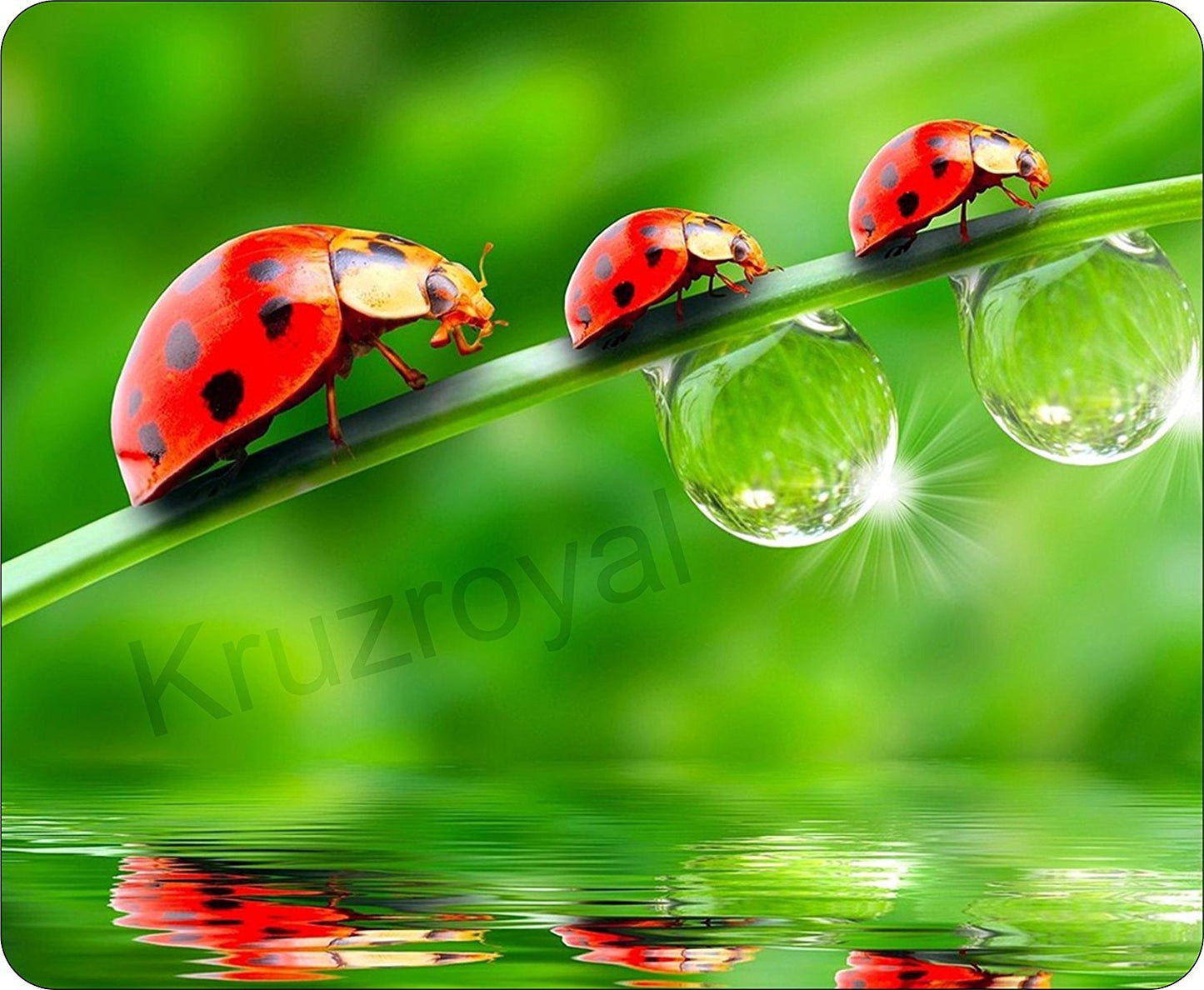 LadyBird Family Mousemat / Pad Anti Slip Computer PC Mouse Mat