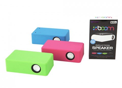 Boom Block Induction Speaker