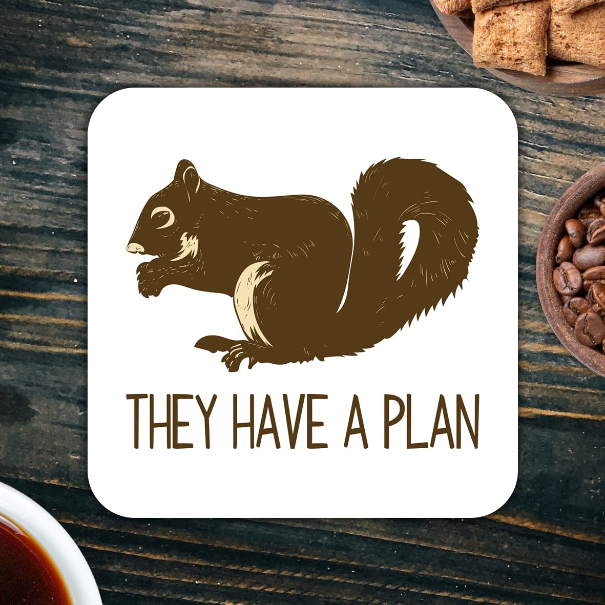 CS502 Squirrel They Have a Plan Novelty Funny Coffee Tea Drink Gift Glossy MDF Wooden Coaster