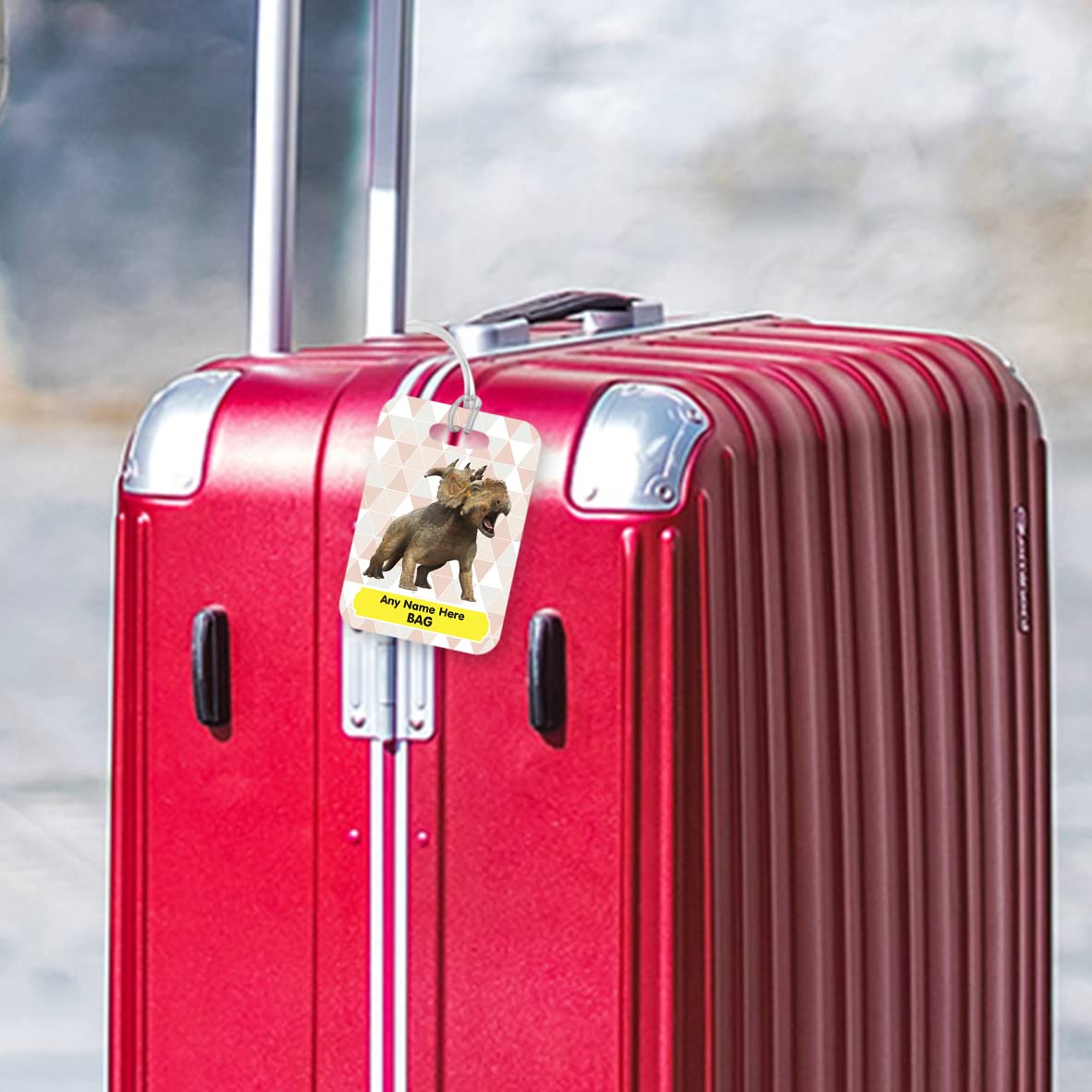 PLT249 Personalised Name's Bag with Dinosaur Image Novelty Funny Unique Designer Gift Glossy Plastic Suitcase Luggage Tag