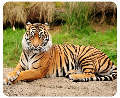 Tiger Mousemat/Pad Anti Slip Computer PC Mouse Mat