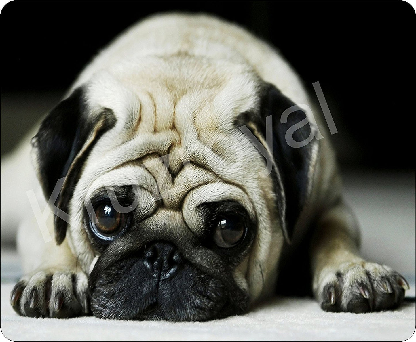 Cute Pug Dog Photo Sad - Funny / Novelty Quality Mouse Mat / Pad