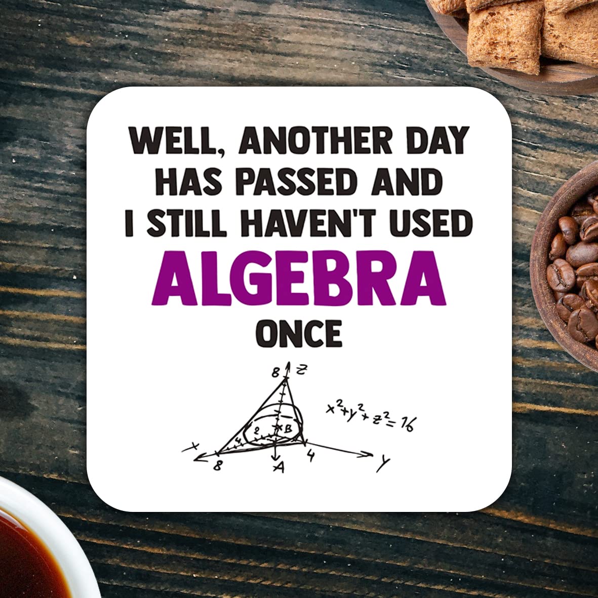 CS725 Well, Another Day has Passed and i Still haven't Used Algebra Once Novelty Funny Coffee Tea Drink Gift Glossy MDF Wooden Coaster