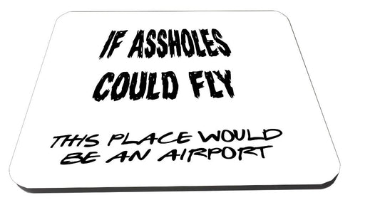 If a**Holes Could Fly, This Place Would be an Airport/Rude Office Collegue Wooden Coaster