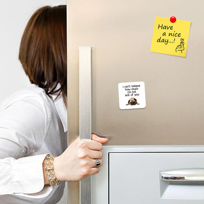 FM040 I can't believe how much i'm not sick of you Novelty Funny Idea Glossy Metal Square Fridge Magnet