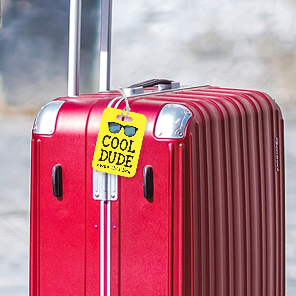 LT148 Cool Dude Owns This Bag Novelty Funny Unique Designer Gift Glossy Plastic Suitcase Luggage Tag
