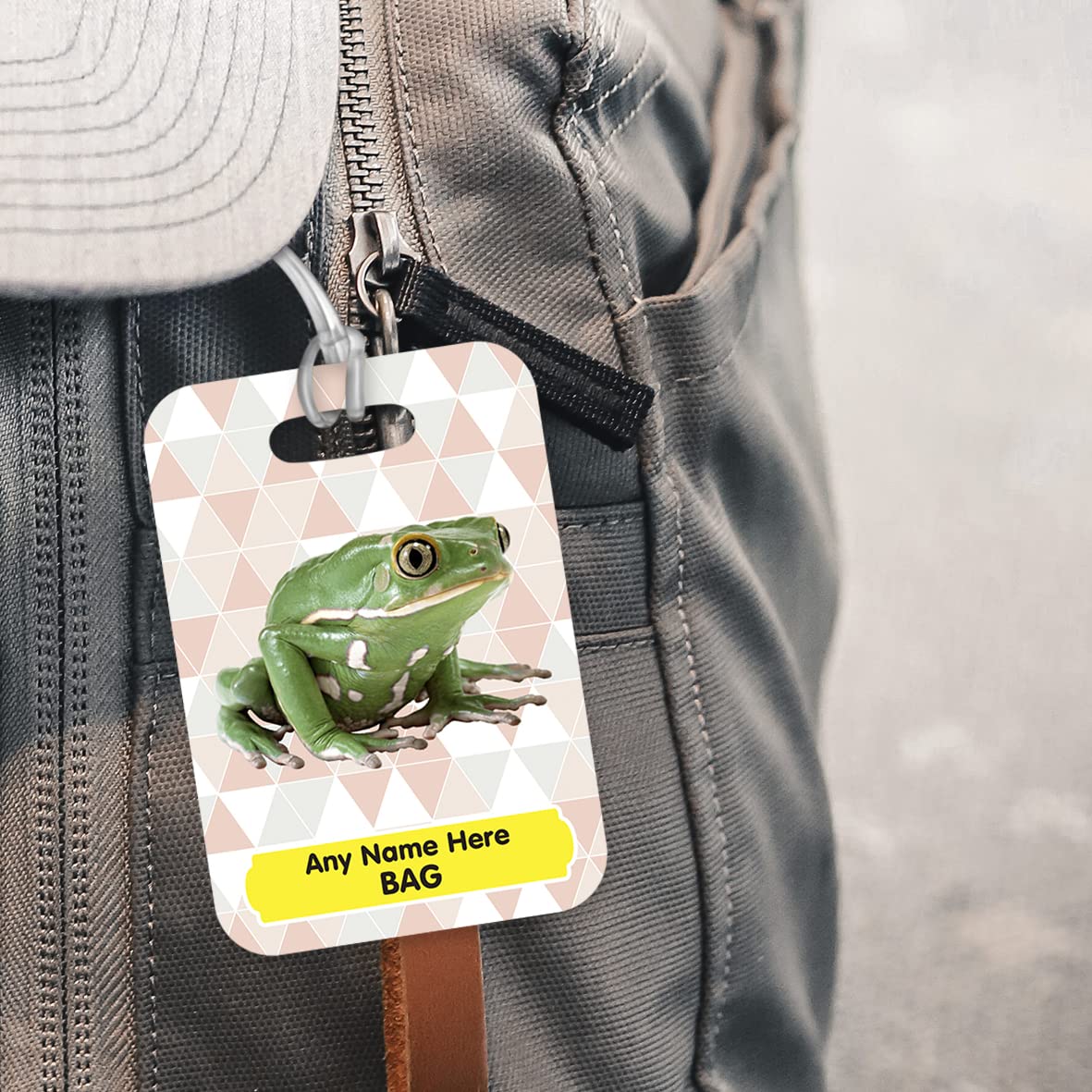 PLT248 Personalised Name's Bag with Frog Image Novelty Funny Unique Designer Gift Glossy Plastic Suitcase Luggage Tag