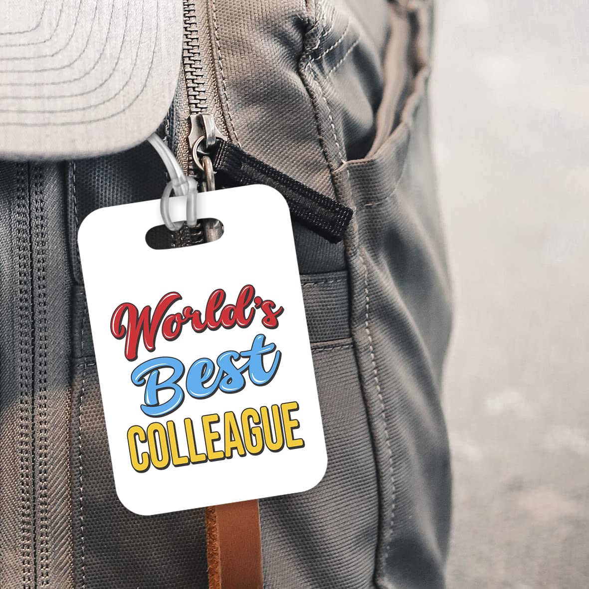 LT500 World's Best Colleague Novelty Funny Unique Designer Gift, Suitcase, Glossy Plastic Luggage Tag for Colleague
