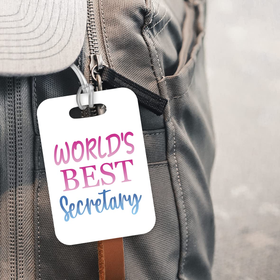 LT467 World's Best Secretary Novelty Funny Unique Designer Gift, Suitcase, Glossy Plastic Luggage Tag for Secretary