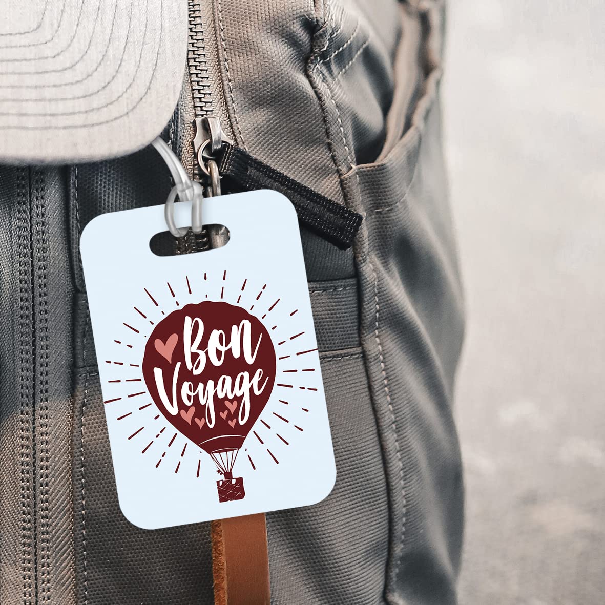 LT099 Bon Voyage - 3 Novelty Funny Unique Designer Gift Glossy Plastic Suitcase Luggage Tag