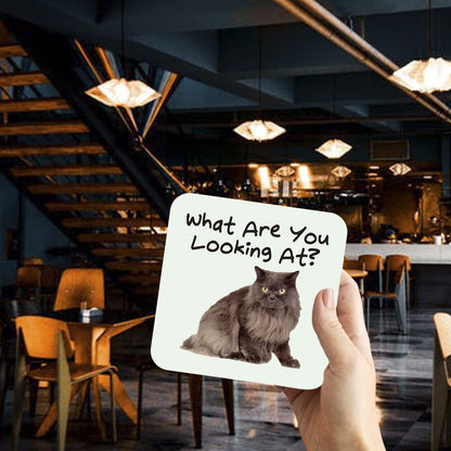 CS637 What are You Looking at? Novelty Funny Coffee Tea Drink Gift Glossy MDF Wooden Coaster