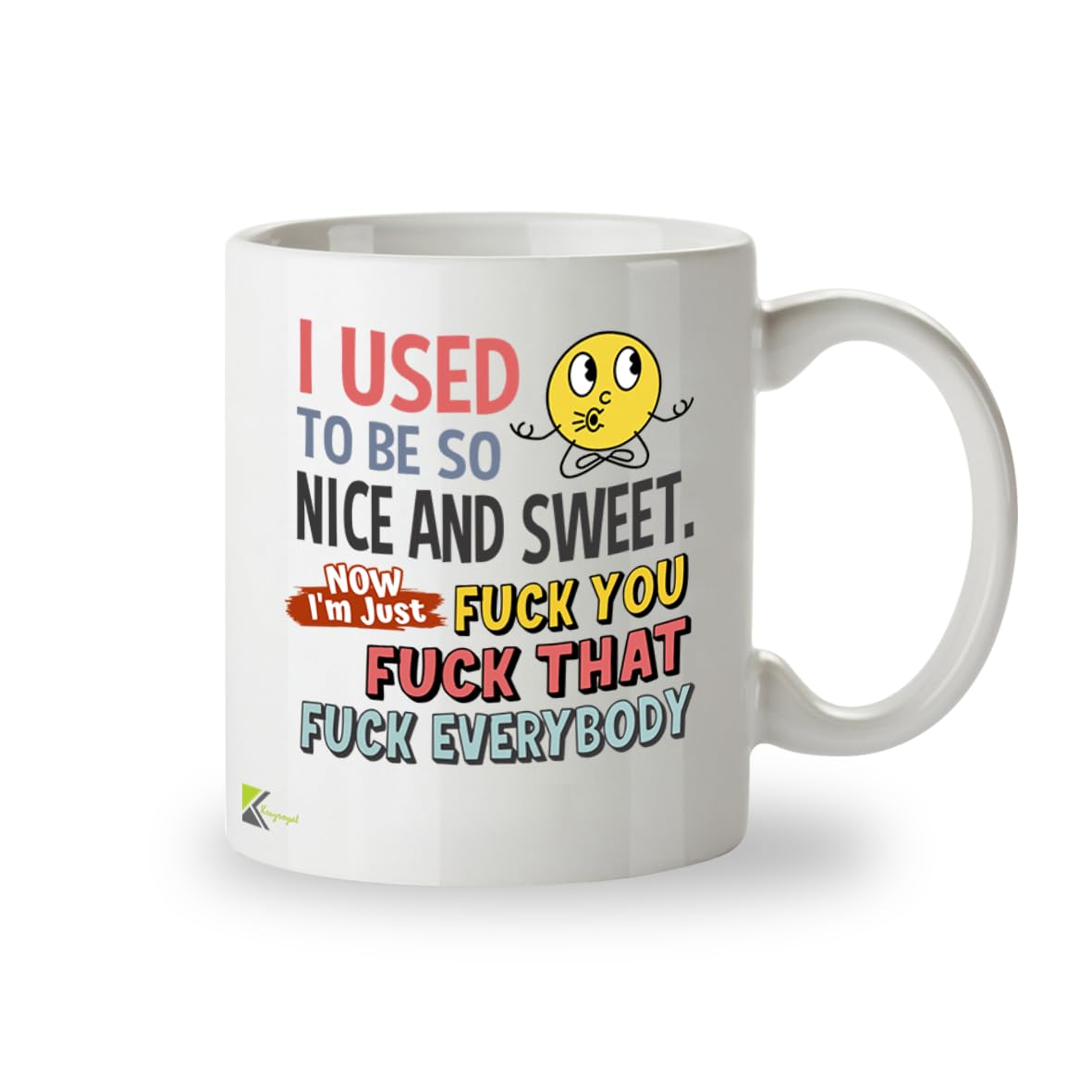 Kruzroyal DZ956 Unfiltered Sarcasm Mug - I Used to Be Nice and Sweet Blunt Humor Coffee Cup - Adult Gag Gift Idea - 11oz White Ceramic Drinkware