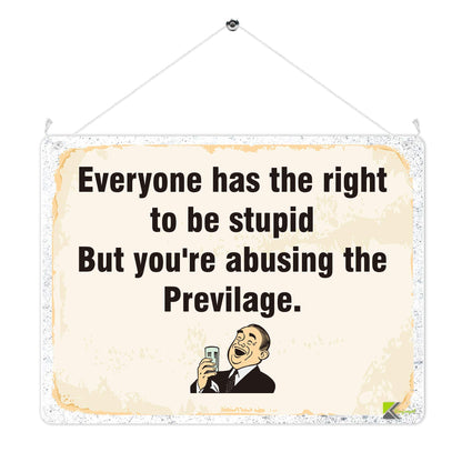 Kruzroyal MP324 Everyone has the right to be stupid, But you're abusing the privilege Funny Novelty Retro Vintage Metal Wall Sign Plaque 20cm x 15cm