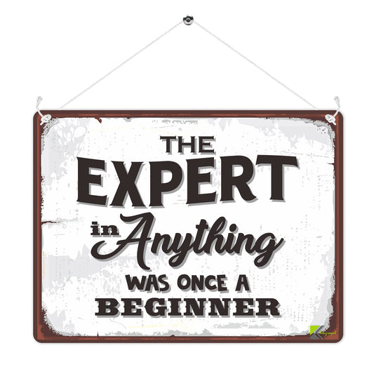 MP257 The expert in anything was once a beginner Funny Novelty Retro Vintage Metal Wall Sign Plaque 20cm x 15cm