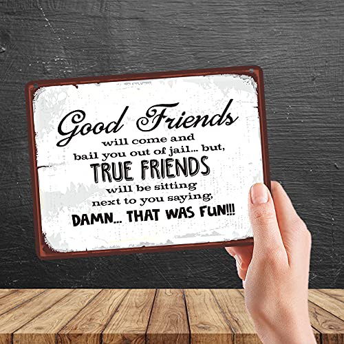 MP087 Good Friends will come and bail you out of jail.. but, true friends will be sitting next to you saying, Damn. That Was Fun!! Funny Novelty Retro Vintage Metal Wall Sign Plaque 20cm x 15cm