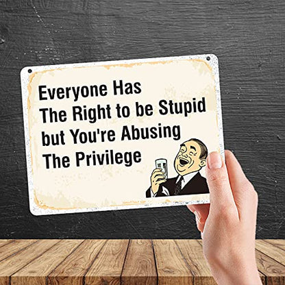 Kruzroyal MP324 Everyone has the right to be stupid, But you're abusing the privilege Funny Novelty Retro Vintage Metal Wall Sign Plaque 20cm x 15cm