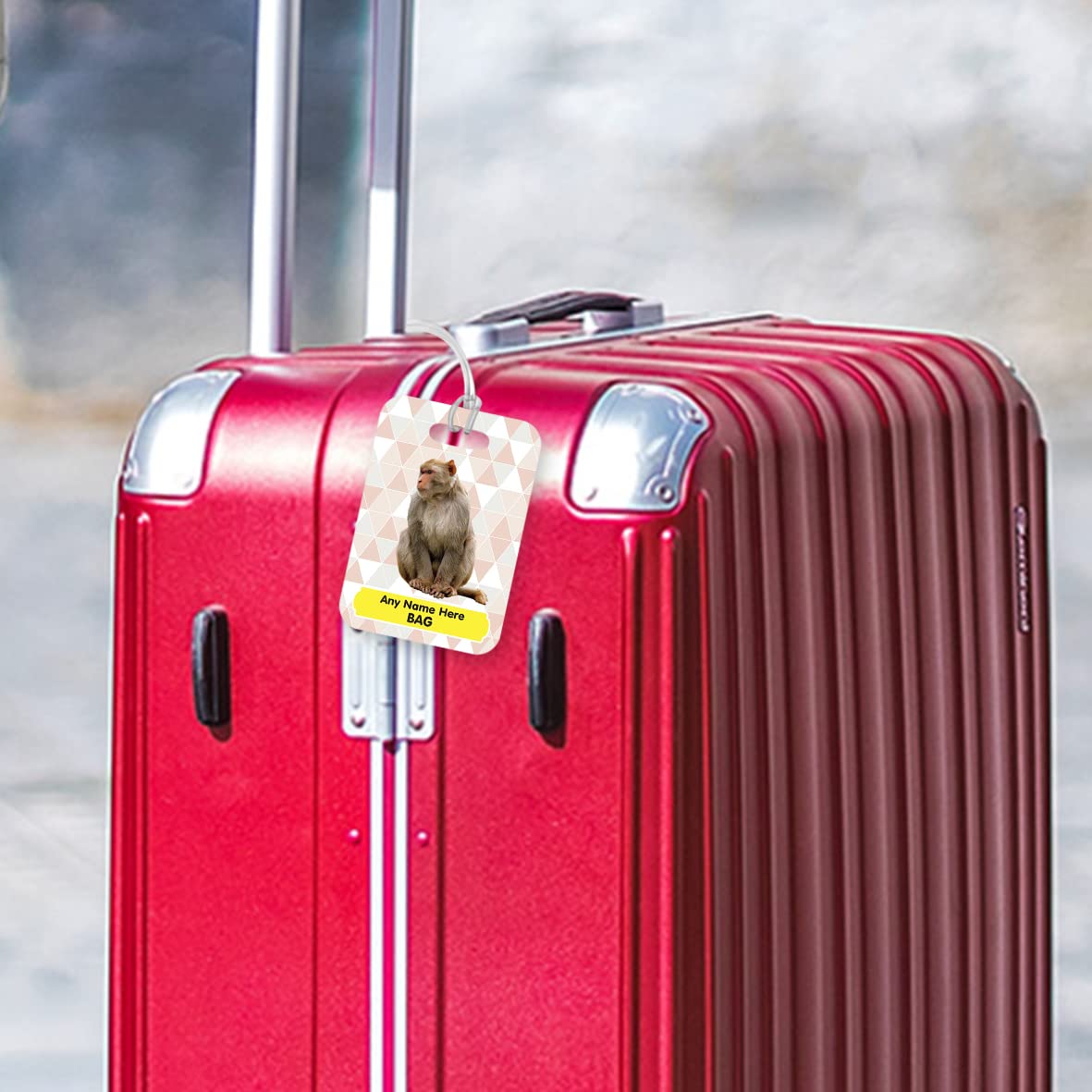 PLT258 Personalised Name's Bag with Monkey Image Novelty Funny Unique Designer Gift Glossy Plastic Suitcase Luggage Tag