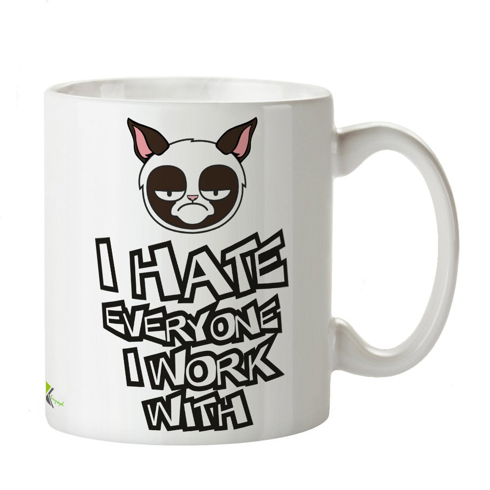 Kruzroyal Funny Work Mug, I Hate Everyone I Work with Design, Grumpy Cat Face, Sarcastic Novelty Gift for Colleague, Office Secret Santa, White Ceramic, 11 oz