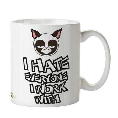 Kruzroyal Funny Work Mug, I Hate Everyone I Work with Design, Grumpy Cat Face, Sarcastic Novelty Gift for Colleague, Office Secret Santa, White Ceramic, 11 oz