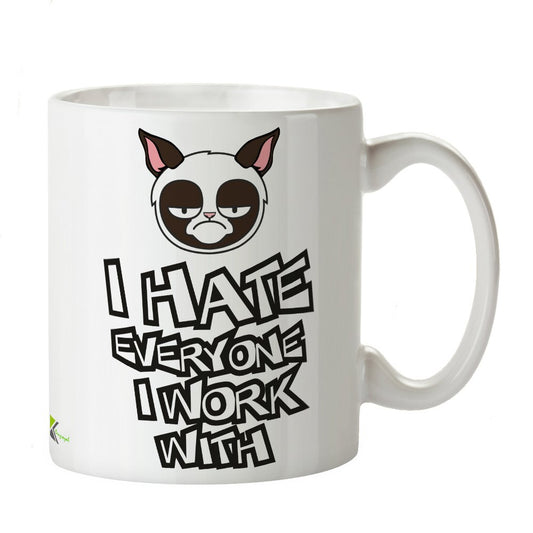 Kruzroyal Funny Work Mug, I Hate Everyone I Work with Design, Grumpy Cat Face, Sarcastic Novelty Gift for Colleague, Office Secret Santa, White Ceramic, 11 oz