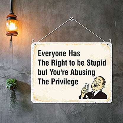 Kruzroyal MP324 Everyone has the right to be stupid, But you're abusing the privilege Funny Novelty Retro Vintage Metal Wall Sign Plaque 20cm x 15cm