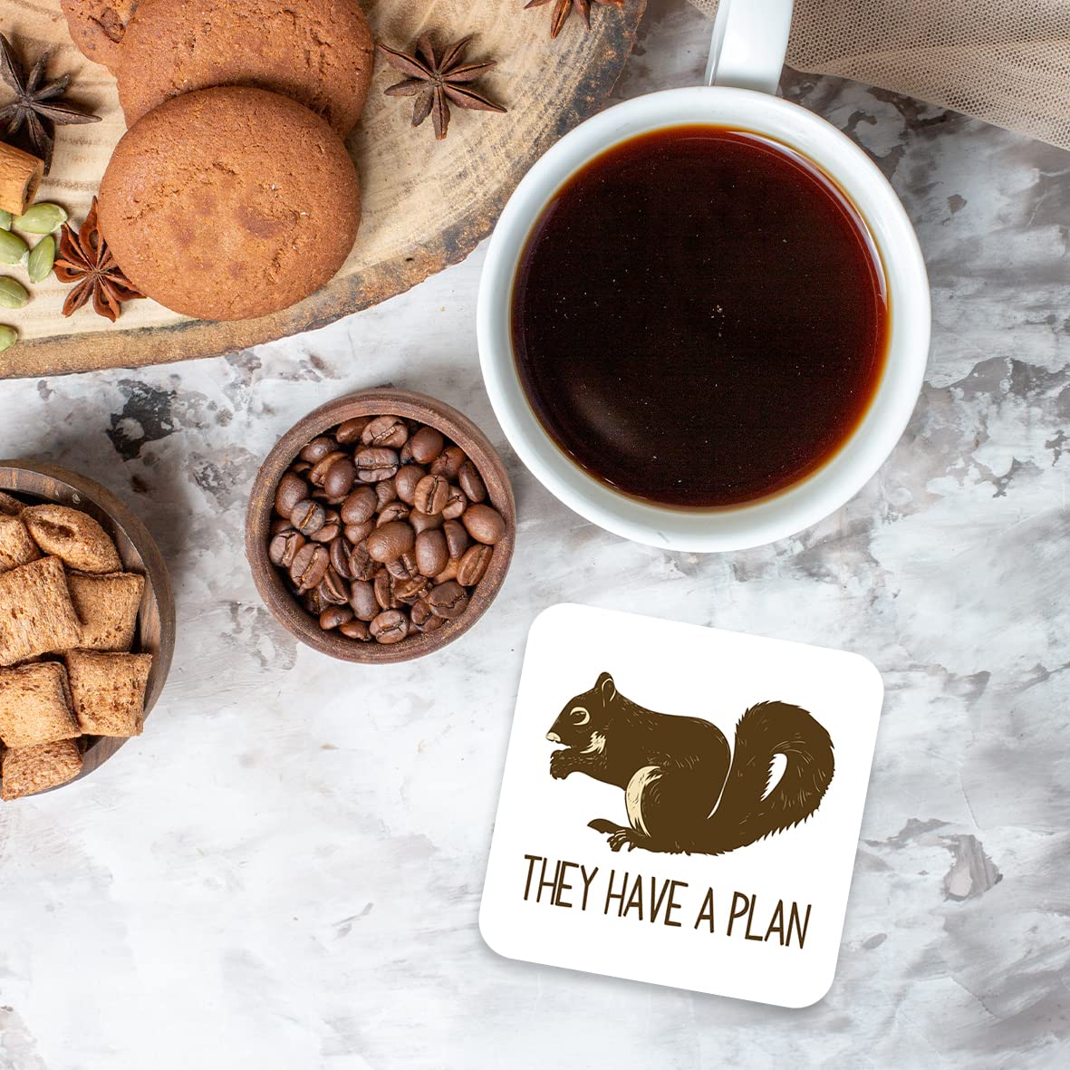 CS502 Squirrel They Have a Plan Novelty Funny Coffee Tea Drink Gift Glossy MDF Wooden Coaster