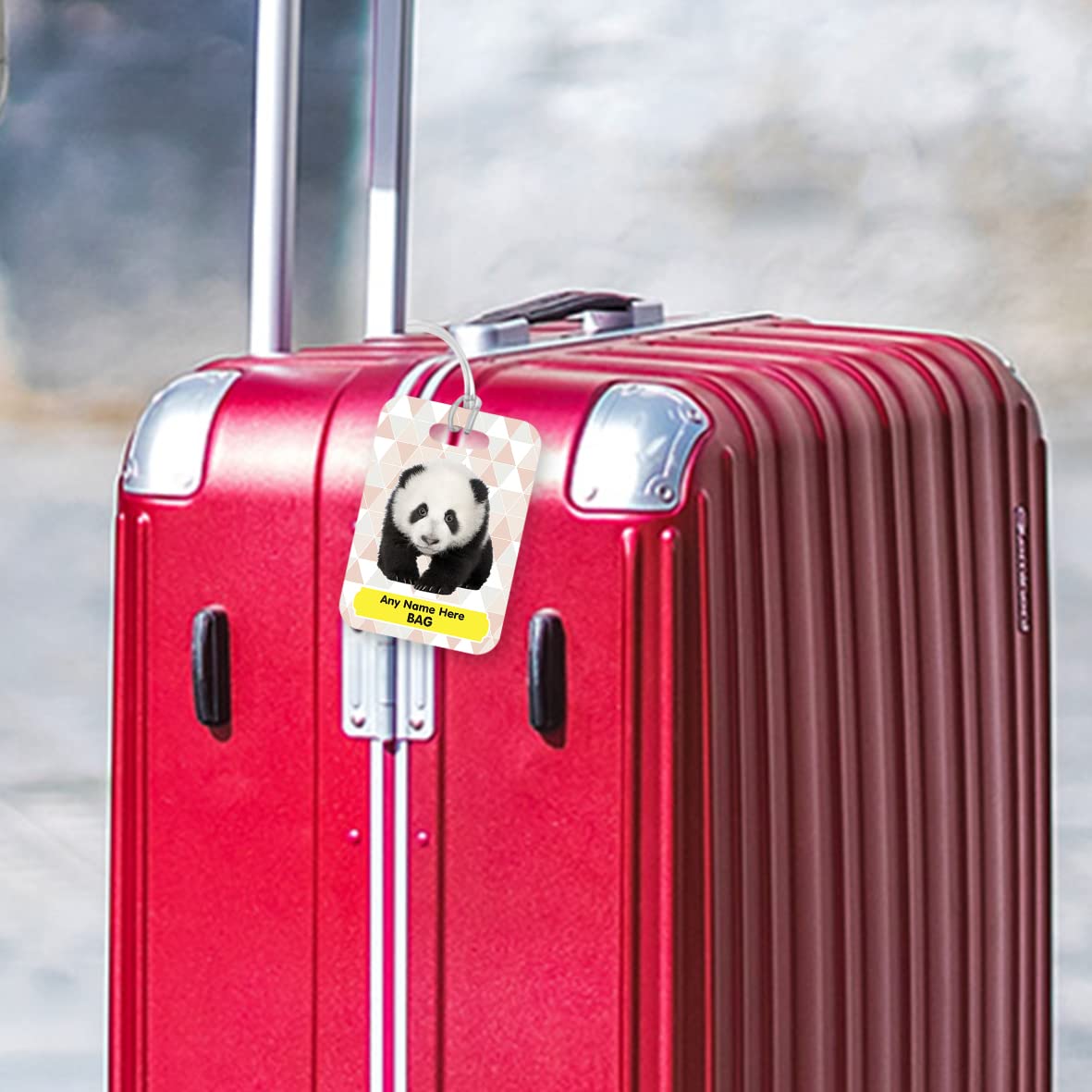 PLT254 Personalised Name's Bag with Panda Image Novelty Funny Unique Designer Gift Glossy Plastic Suitcase Luggage Tag