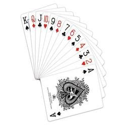 PMS PLASTIC COATED PLAYING CARDS 12PCKS IN D/BO