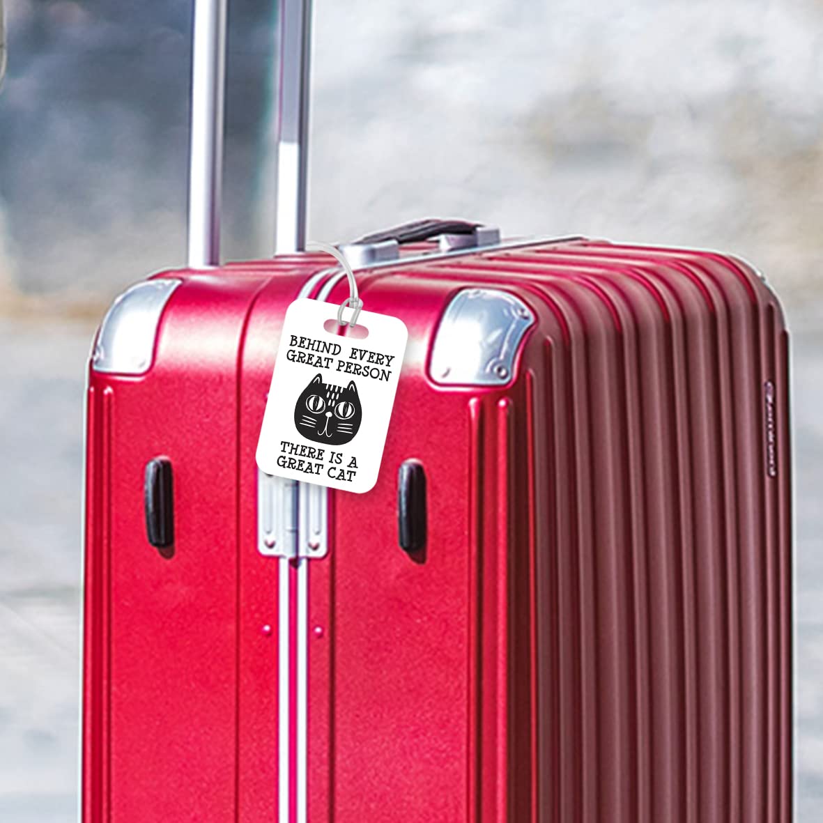 LT124 Behind Every Great Person There is A Great Cat Novelty Funny Unique Designer Gift Glossy Plastic Suitcase Luggage Tag
