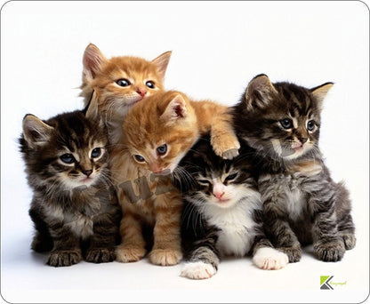 Kittens Family Cats Mousemat/Pad Anti Slip Computer PC Mouse Mat