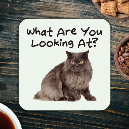 CS637 What are You Looking at? Novelty Funny Coffee Tea Drink Gift Glossy MDF Wooden Coaster