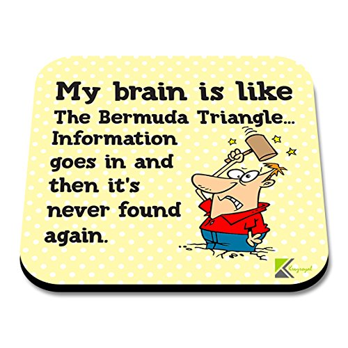 CS199 My Brain is Like The Bermuda Triangle... Information goes in and Then It's Never Found Again. Novelty Funny Coffee Tea Drink Gift Glossy MDF Wooden Coaster