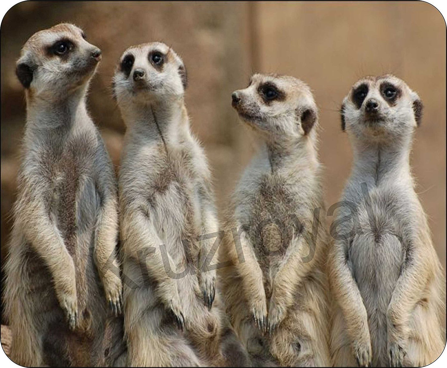 Meerkats Family Funny Mousemat/Pad Anti Slip Computer PC Mouse Mat
