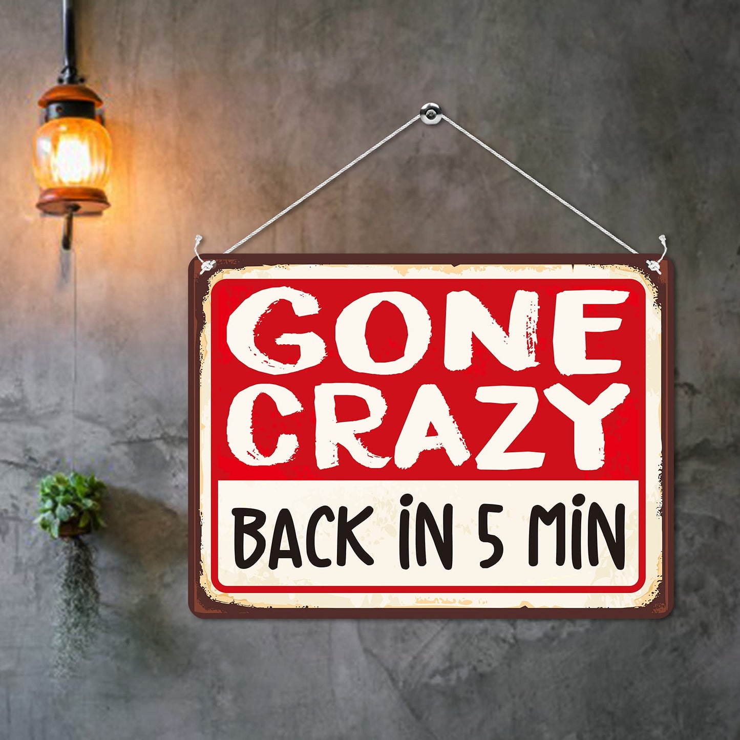 Kruzroyal MP110 GONE CRAZY : BACK IN 5 MIN Funny Novelty Retro Vintage Metal Wall Sign Plaque 20cm x 15cm