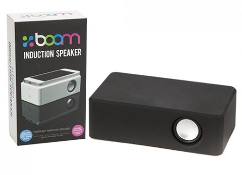 Boom Block Induction Speaker