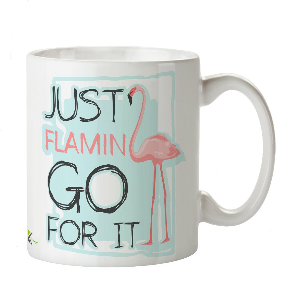 Kruzroyal DZ377 Just Flamin go for it Funny Novelty Great Gift Idea Coffee Tea Mug