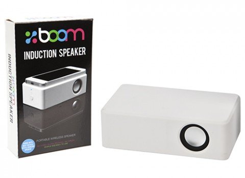 Boom Block Induction Speaker