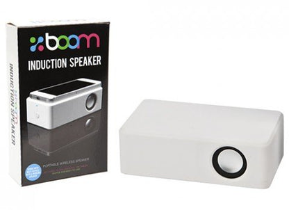 Boom Block Induction Speaker