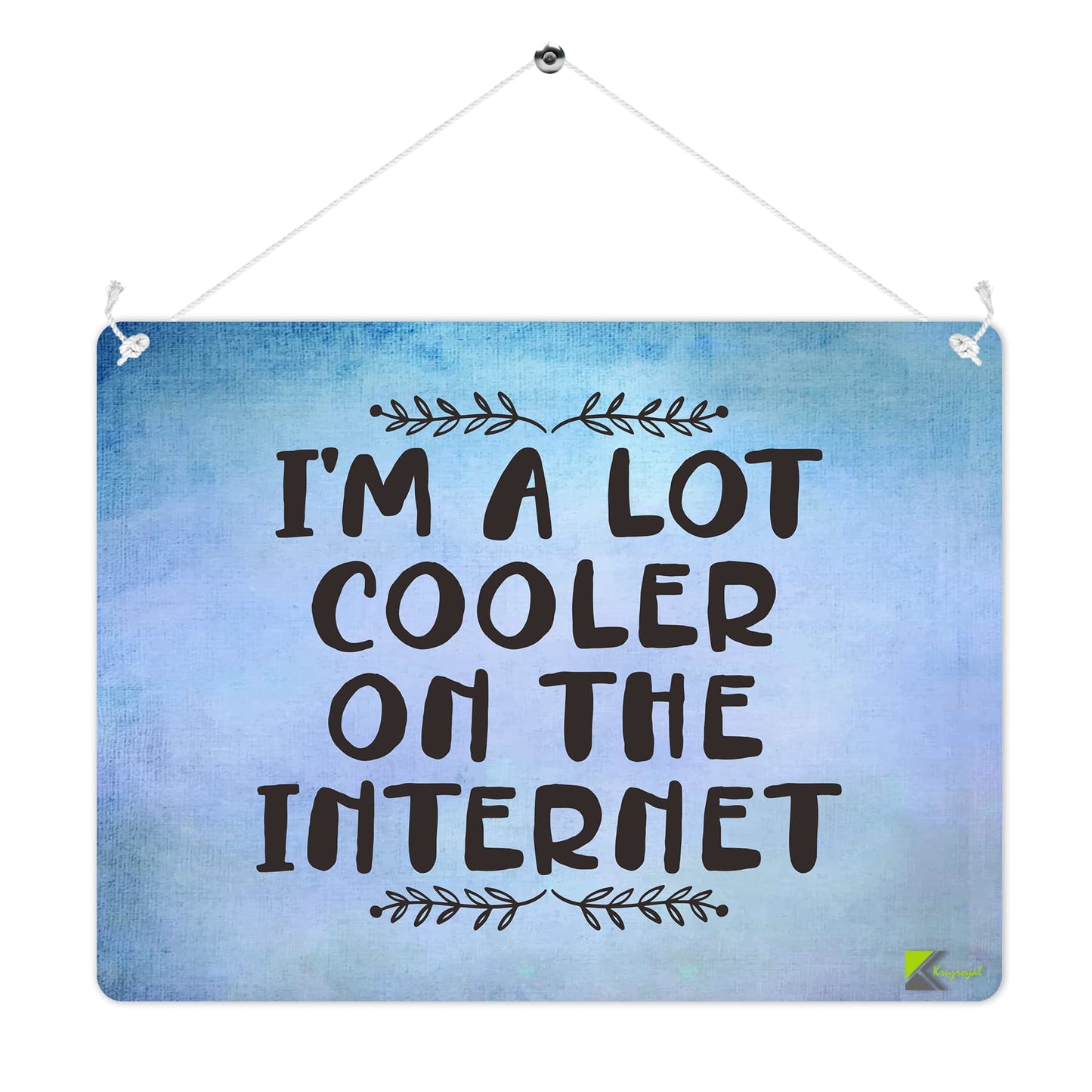 MP235 I'm a lot cooler on the internet Funny Novelty Retro Vintage Metal Wall Sign Plaque 20cm x 15cm