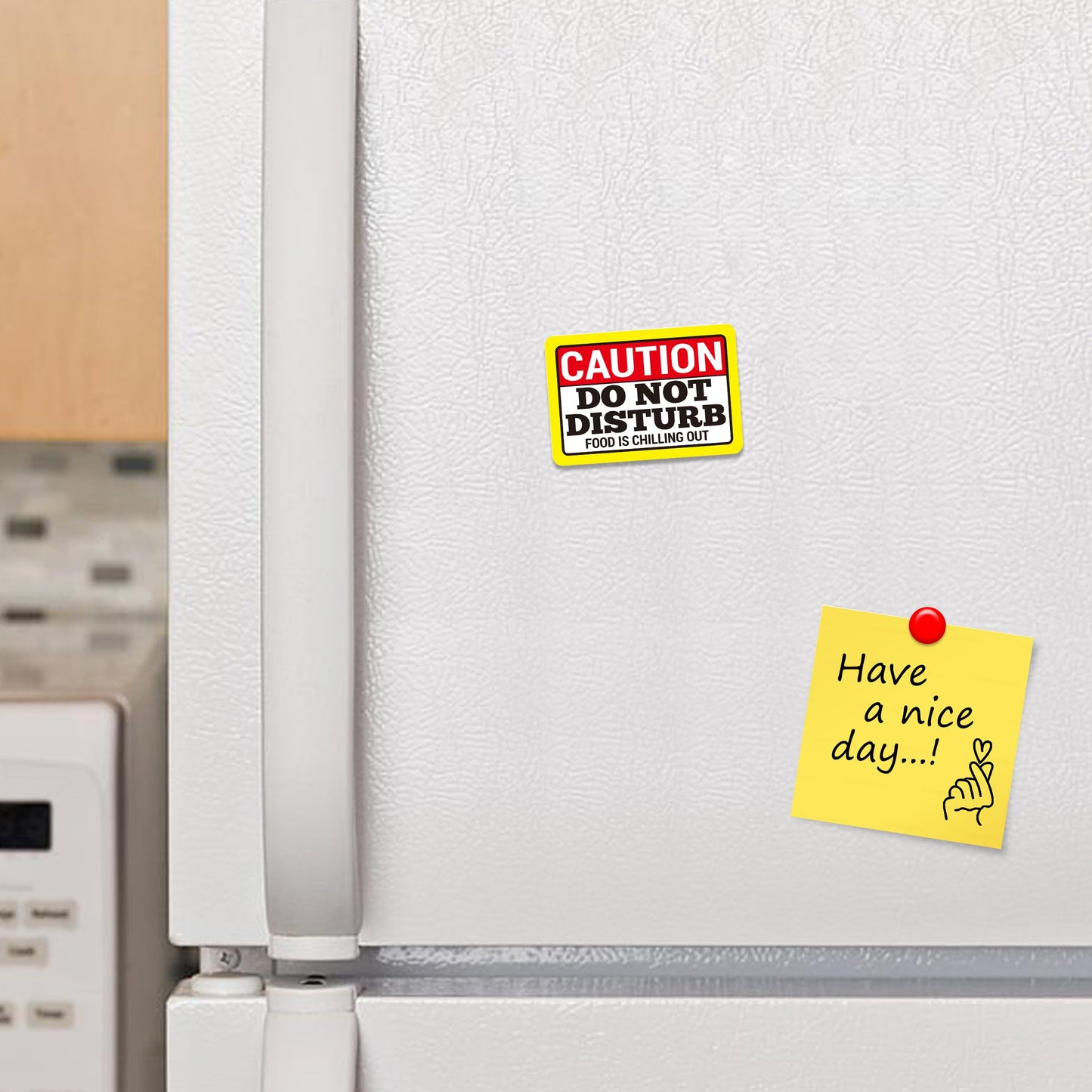 Kruzroyal FM149 CAUTION DO NOT DISTURB, FOOD IS CHILLING OUT Novelty Funny Gift Idea Glossy Rectangle Metal Fridge Magnet
