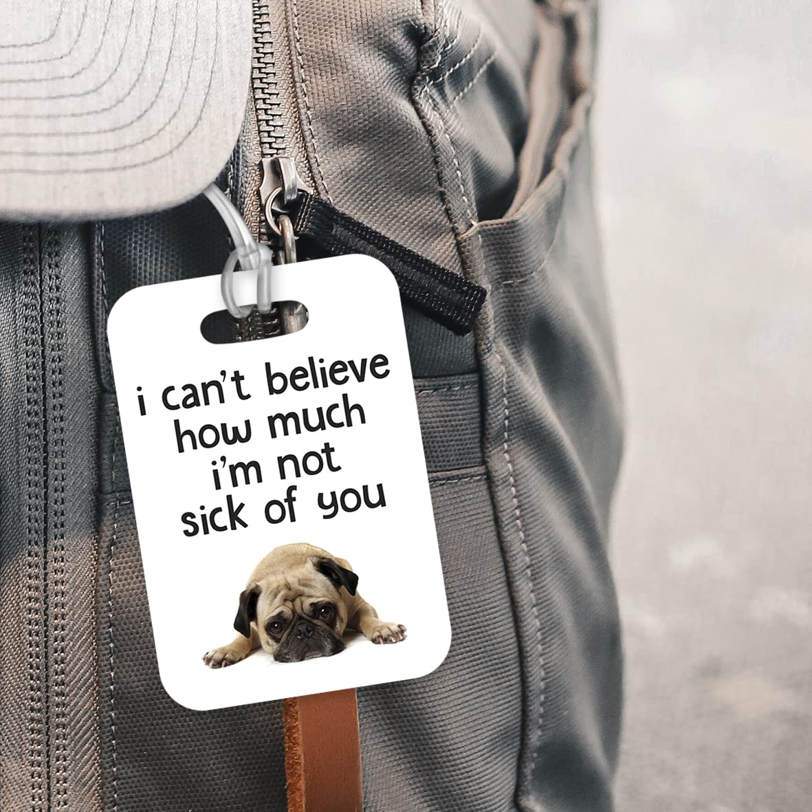 LT153 I Can't Believe How Much I'm Not Sick of You Novelty Funny Unique Designer Gift Glossy Plastic Suitcase Luggage Tag