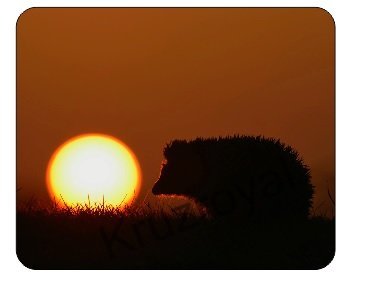 Hedgehog Sunset Mousemat / Pad Anti Slip Computer PC Mouse Mat