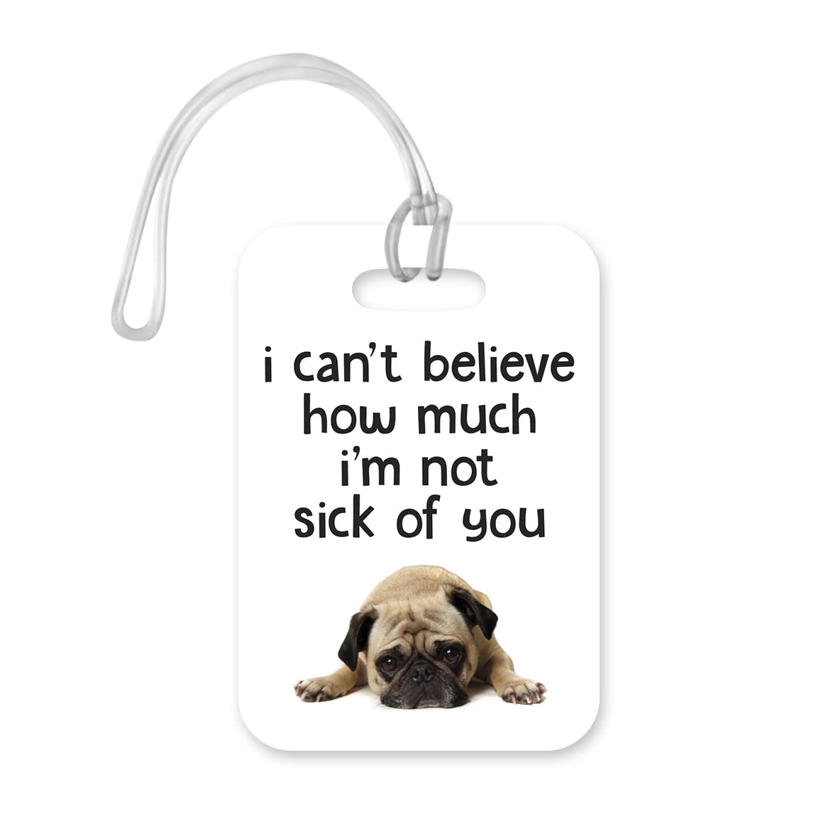 LT153 I Can't Believe How Much I'm Not Sick of You Novelty Funny Unique Designer Gift Glossy Plastic Suitcase Luggage Tag