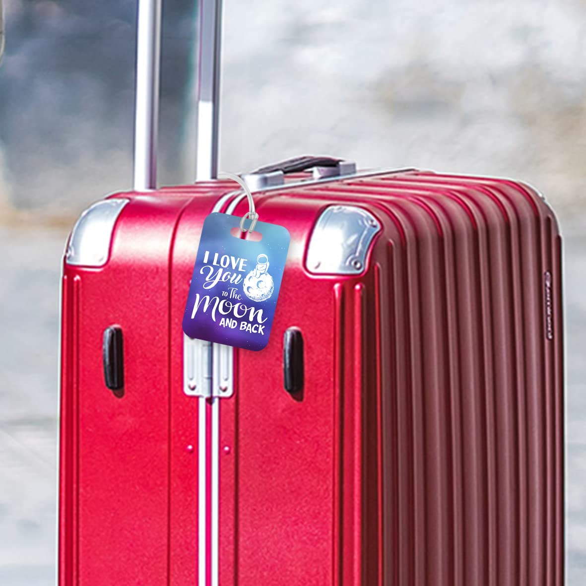 LT176 Home is Where My Dog is Novelty Funny Unique Designer Gift Glossy Plastic Suitcase Luggage Tag