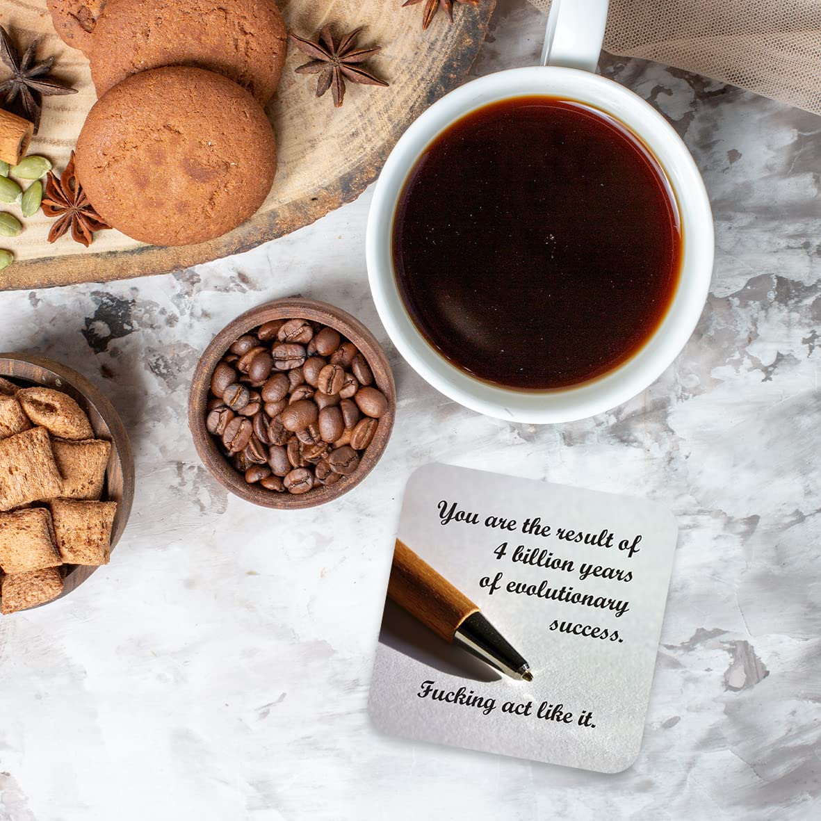 CS785 You are The Result of 4 Billion Years of Evolutionary Success. Fu*King act Like it Novelty Funny Coffee Tea Drink Gift Glossy MDF Wooden Coaster