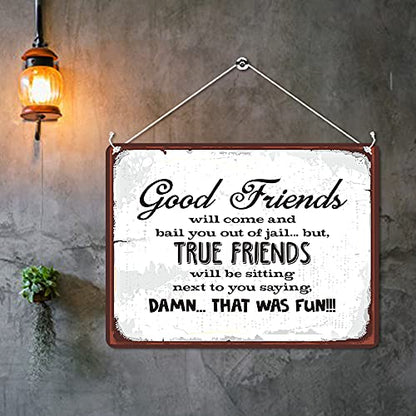 MP087 Good Friends will come and bail you out of jail.. but, true friends will be sitting next to you saying, Damn. That Was Fun!! Funny Novelty Retro Vintage Metal Wall Sign Plaque 20cm x 15cm