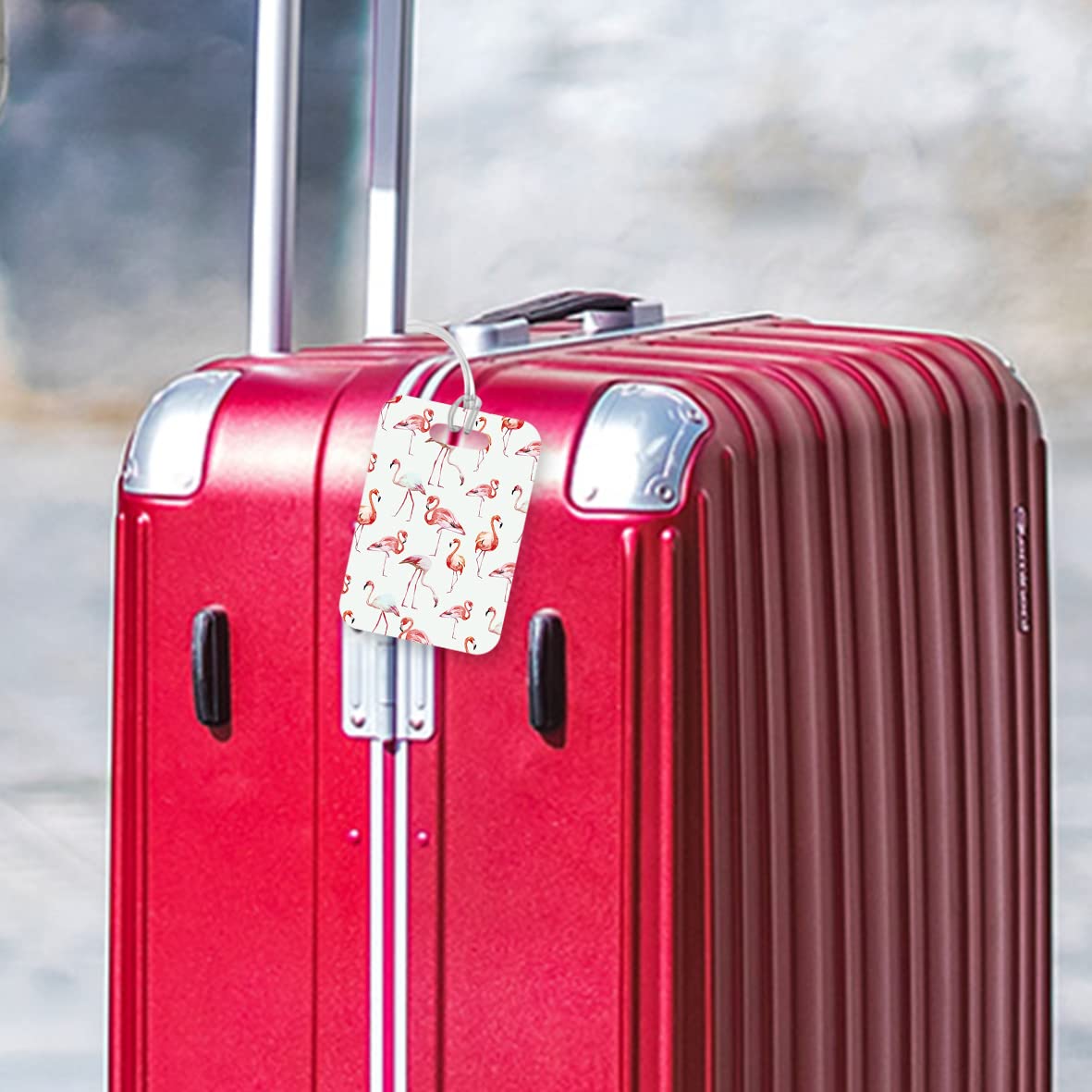 LT135 Flamingos Madness Novelty Funny Unique Designer Gift Glossy Plastic Suitcase Luggage Tag
