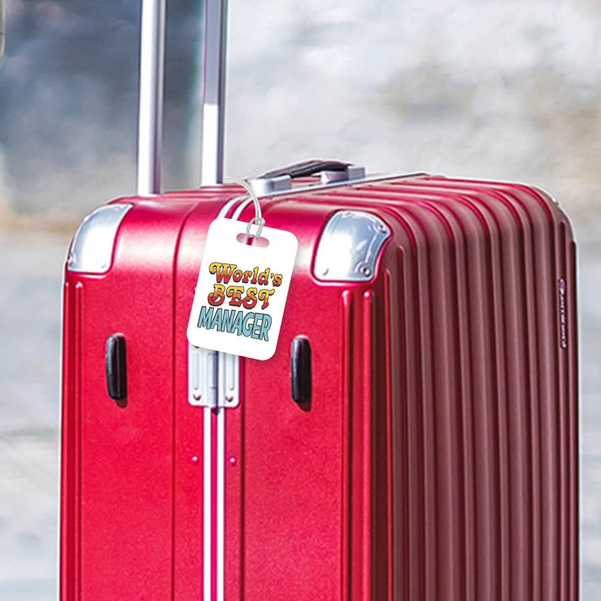 LT438 World's Best Manager Novelty Funny Unique Designer Gift, Suitcase, Glossy Plastic Luggage Tag for Manager